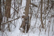 DSC_1381.jpg