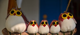 owlfamily-1.jpg