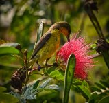 tinybird-5.jpg