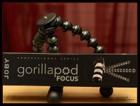 Day 7 Gorilla Pod.jpg