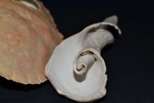 DSC_1401.jpg