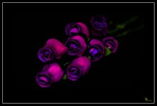 Flowers.jpg