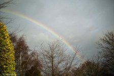 rainbow2.jpg
