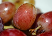 dewy grape_edited-1.jpg