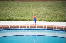 spidey1.JPG