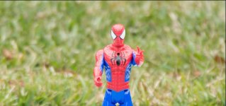 spidey2.jpg