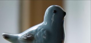 birdie2.jpg