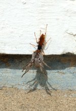 DSC_5105.jpg