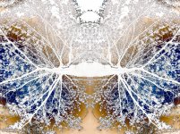 20140108-_D806154-Solarization-1.jpg