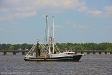 DSC_2952.jpg