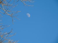 DSCN0018.jpg