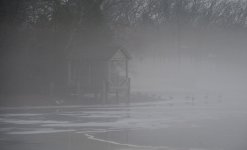 DSC_7217.jpg