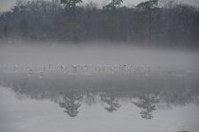 DSC_7225.jpg