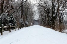 DSCN8920.jpg