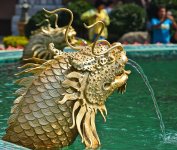 dragonhead-1.jpg