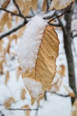 DSC_0118_9512.jpg