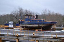 DSC_1456.jpg