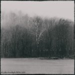 20140111-_D621905-Edit.jpg