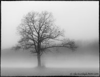 20140111-_D621910-Edit.jpg