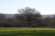DSC_3363.jpg
