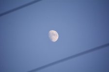 DSC_3376.jpg
