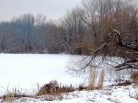 DSCN8913.jpg