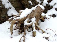 DSCN8940.jpg