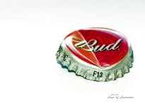 Bud LOL.jpg