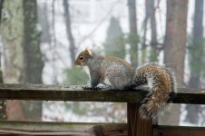 DSC_6876.jpg