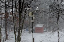 DSC_9478.jpg