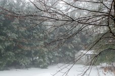 DSC_9479.jpg