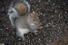 DSC_7257.jpg