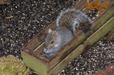DSC_7259.jpg