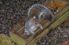 DSC_7260.jpg