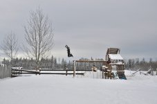 NIK_0262.jpg