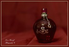 Day 11 Photo Perfume Bottle.jpg