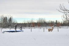 NIK_0299.jpg