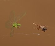 SpiderDinner11Jan2014.jpg