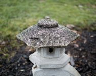 DSC_0167_9560.jpg