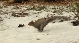 DSC_1322.jpg