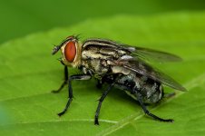 DSC_4086.jpg