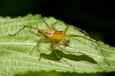 DSC_4083.jpg