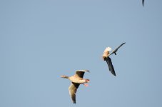 DSC_7506.jpg