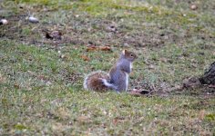 DSC_1524.jpg