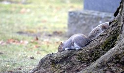 DSC_1538.jpg