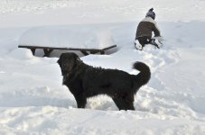 NIK_0394.jpg
