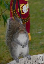 DSC_7261.jpg