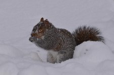 DSC_6473.jpg