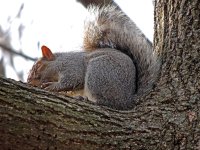 DSCN8961.jpg