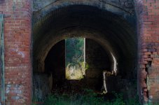 DSC_3536.jpg